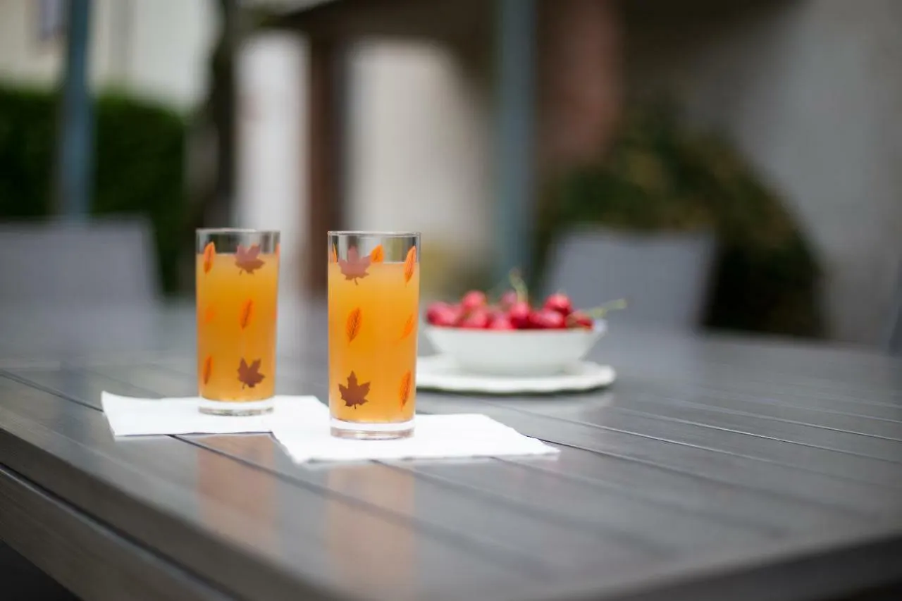 Le Clos Des Collieres Bed & Breakfast Marcollin